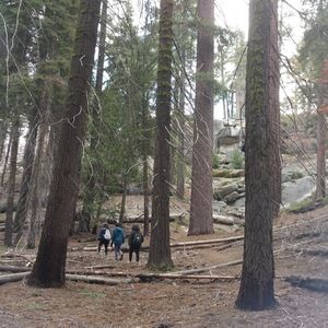 Meet your Posher, Fiona